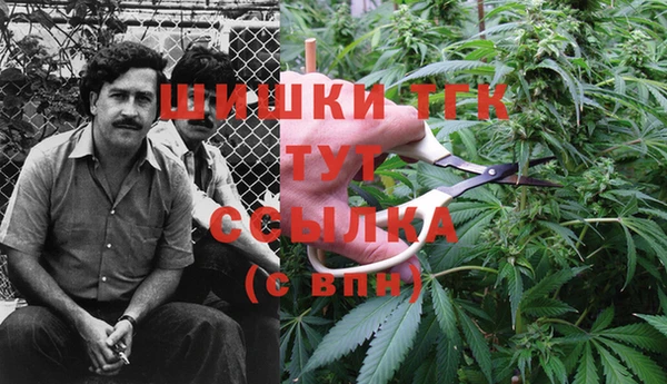 мяу мяу мука Кукмор