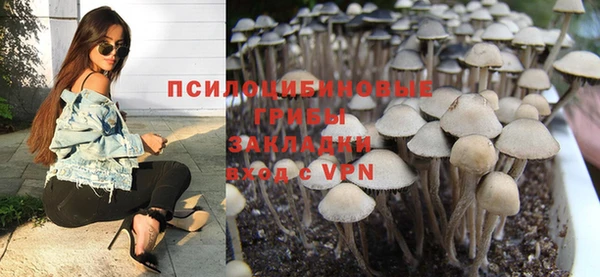 мяу мяу мука Кукмор