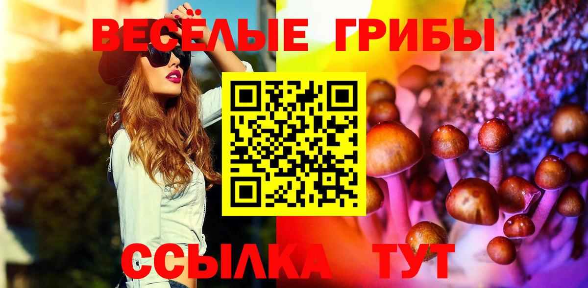 Псилоцибиновые грибы мухоморы  Вход с VPN  где купить наркоту  Керчь 